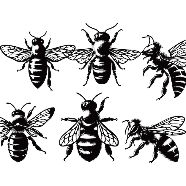 Colección de abejas de silueta en blanco y negro
