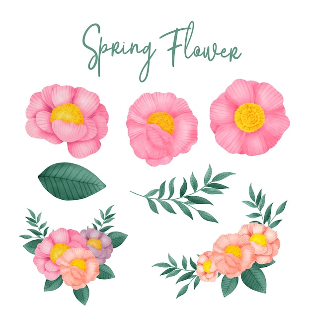 Colección de acuarela de flores dibujadas a mano