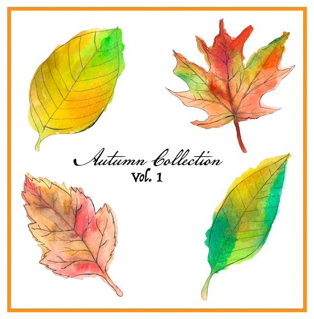 Vector colección acuarela de hojas de otoño