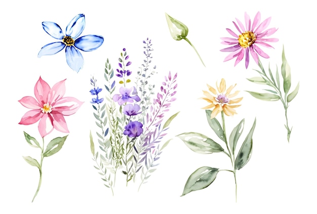 Colección de acuarela pintada a mano de flores silvestres y flores de prado sobre fondo blanco Plantas que florecen en primavera y verano clip art Ilustración vectorial