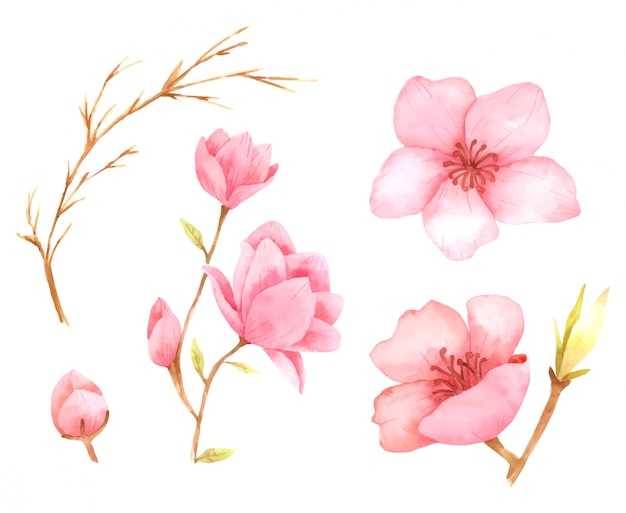 Vector colección de acuarela de pintura de mano de elementos de flor rosa para diseño