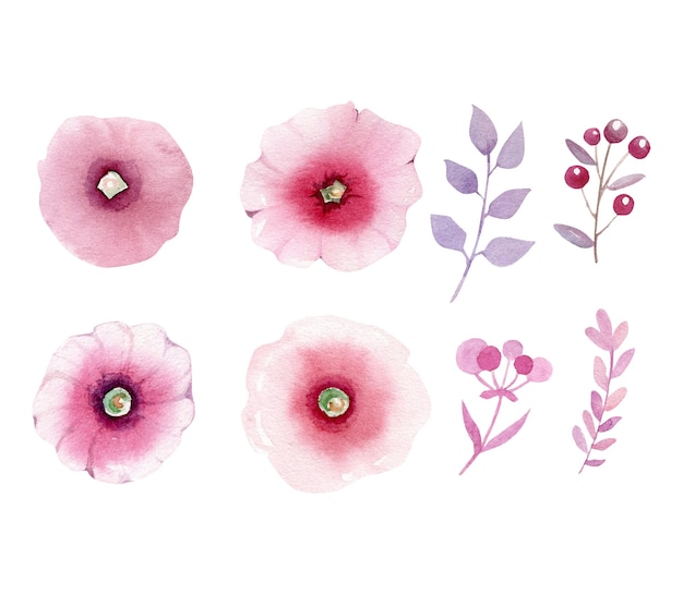 Vector colección de acuarela de ramas y flores abstractas rosas