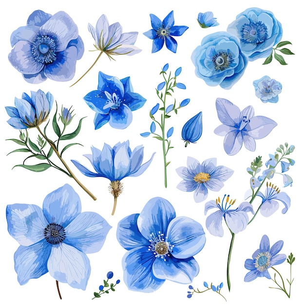 Colección de acuarelas de flores azules de primavera