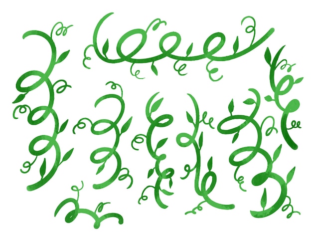 Colección de acuarelas Twirly Tendrils aisladas en blanco