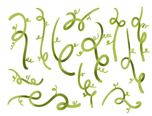 Colección de acuarelas Twirly Tendrils aisladas en blanco