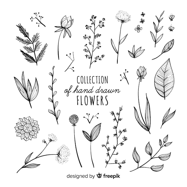 Vector colección adorable de flores dibujadas a mano