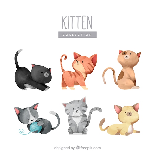 Colección adorable de gatitos en acuarela