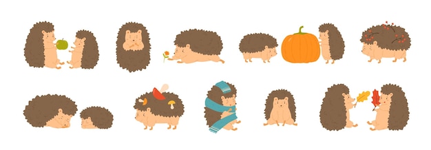 Colección de adorables erizos cargando setas y bayas, jugando con hojas de otoño, durmiendo. Conjunto de lindos animales del bosque aislados sobre fondo blanco. Ilustración de vector de dibujos animados planos.