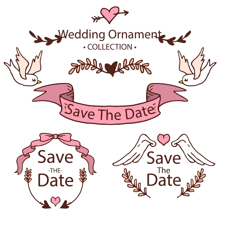 Vector colección de adornos de boda dibujados a mano ilustración de diseño vectorial