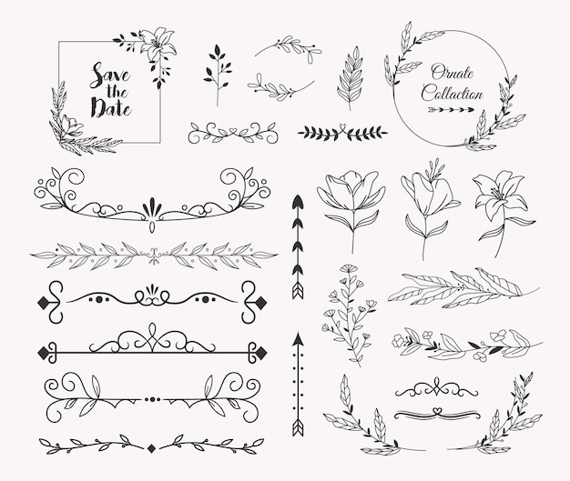 Vector colección de adornos decorativos de boda dibujados a mano