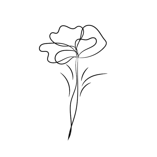 Colección de adornos florales dibujados a mano