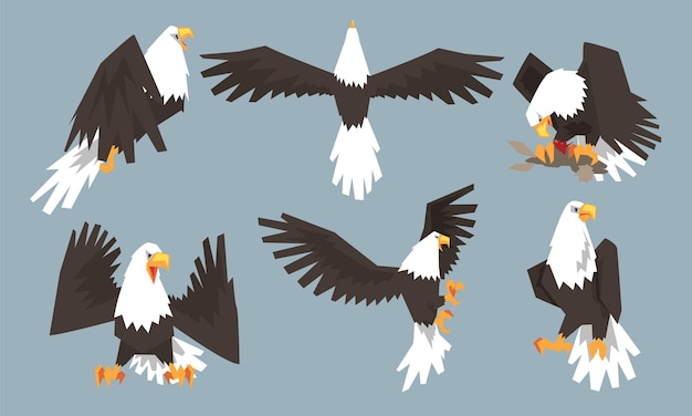 Colección de águilas calvas en varias posturas Orgullo y poder Ilustración vectorial de aves depredadoras