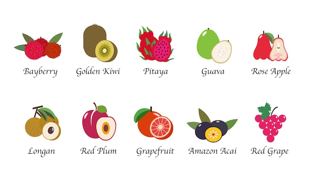 Colección aislada de frutas de salud de naturaleza orgánica
