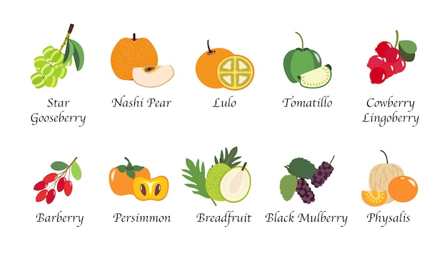 Colección aislada de frutas de salud de naturaleza orgánica