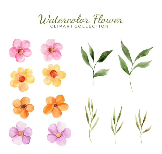 Colección aislada de imágenes prediseñadas de varias flores de acuarela