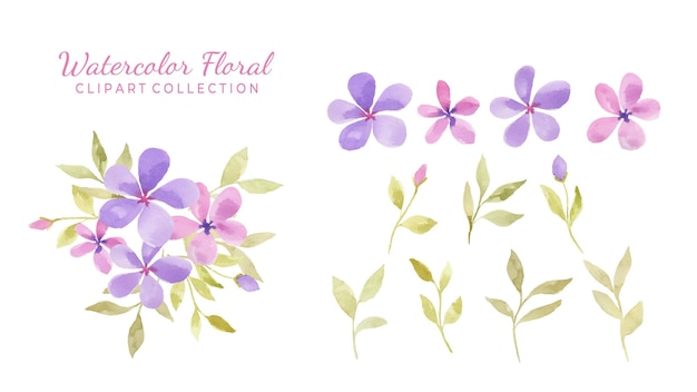 Vector colección aislada de imágenes prediseñadas de varias flores de acuarela