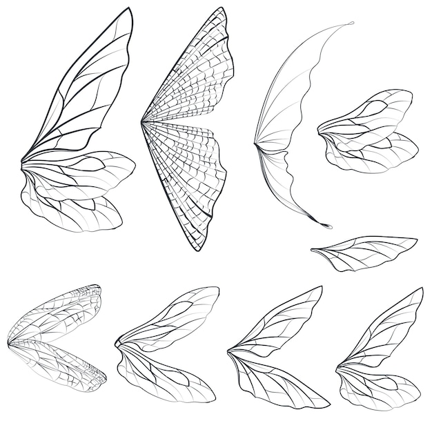 Colección de alas de luz vectorial para diseño aislado en blanco