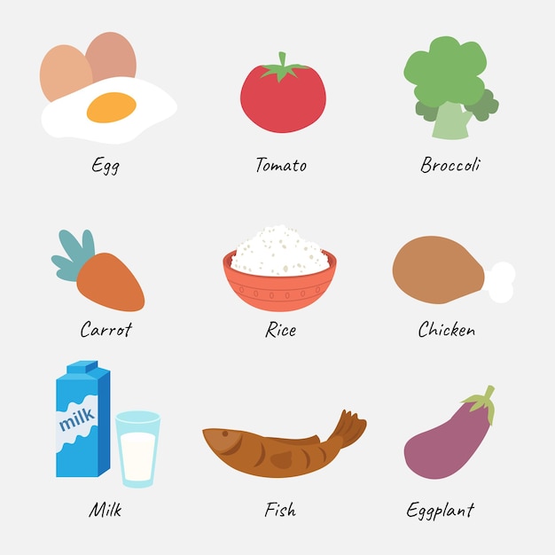 Colección de alimentos saludables de Vector.