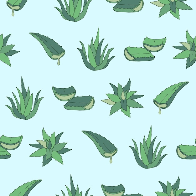 Colección de Aloe Vera Vector Ilustración de patrón sin costuras para la decoración de papel tapiz impreso