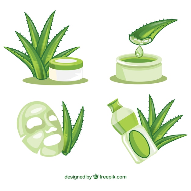 Vector colección aloe vera