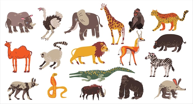Colección de animales africanos conjunto elefante hipopótamo rinoceronte león herbívoros y carnívoros vector