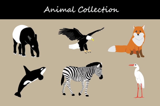 Colección de animales aislados en fondo blanco Ilustración vectorial de estilo plano