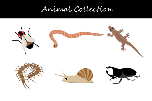 Colección de animales aislados en fondo blanco Ilustración vectorial de estilo plano