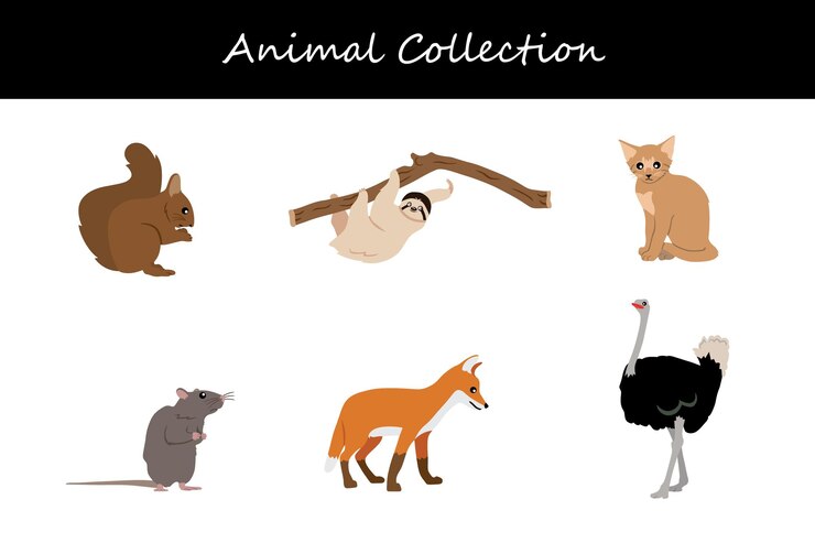 Vector colección de animales aislados en fondo blanco ilustración vectorial de estilo plano