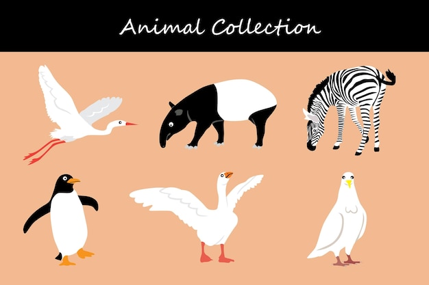 Colección de animales aislados en fondo de color Ilustración vectorial de estilo plano