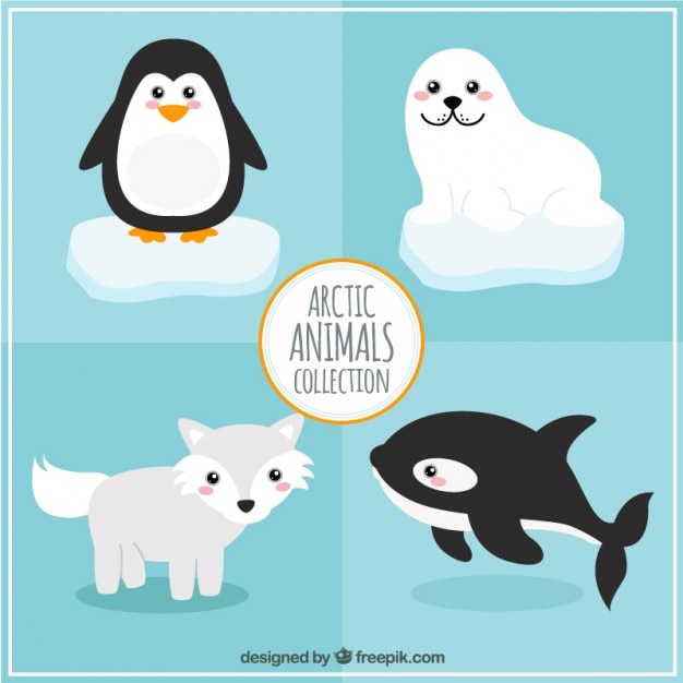 Vector colección de animales árticos