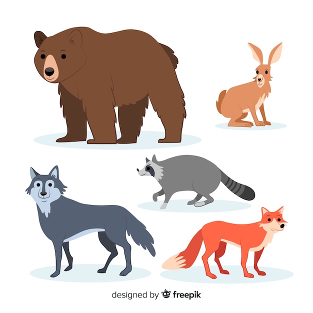 Vector colección de animales de bosque dibujados a mano