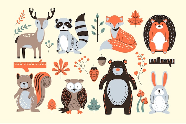 Colección animales del bosque otoñal dibujados a mano