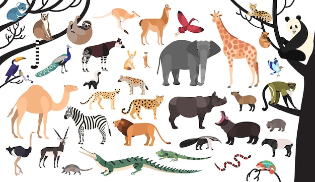 Colección de animales exóticos y aves que viven en la sabana y el bosque tropical o la selva aislada en el fondo blanco. conjunto de lindos personajes de dibujos animados. ilustración de vector de color plano brillante.