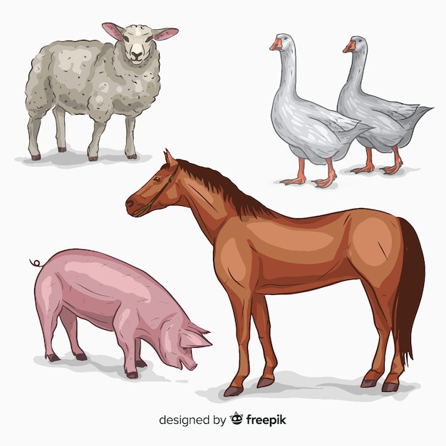 Vector colección de animales de granja dibujado a mano