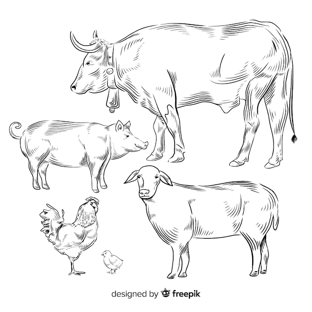 Colección de animales de granja dibujado a mano