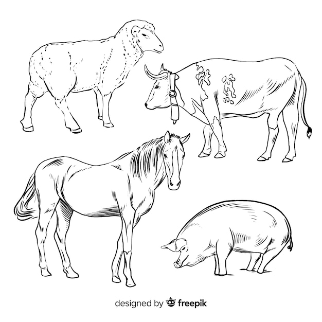 Colección de animales de granja dibujado a mano