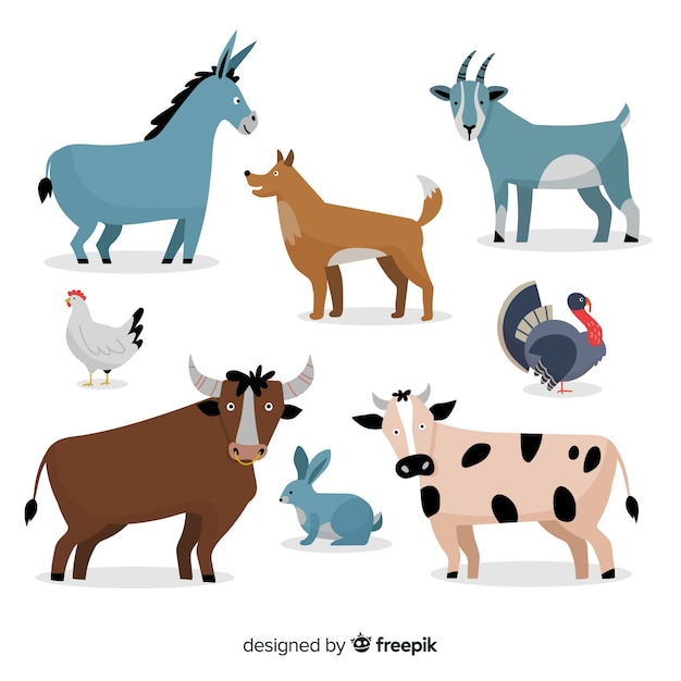 Vector colección de animales de granja en diseño plano