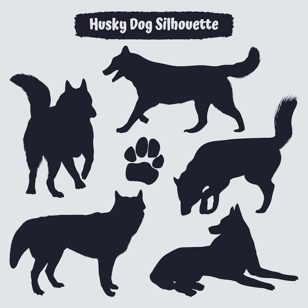 Colección de animales Husky Dog en diferentes posiciones.