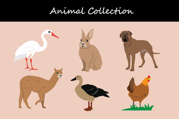 Colección de animales Ilustración vectorial de un conjunto de animales salvajes