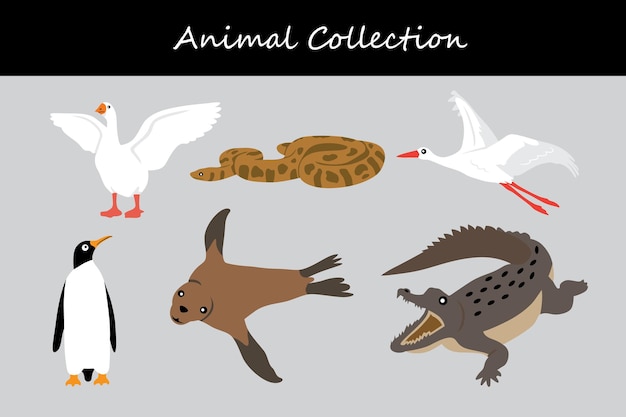 Colección de animales Ilustración vectorial de un conjunto de animales salvajes