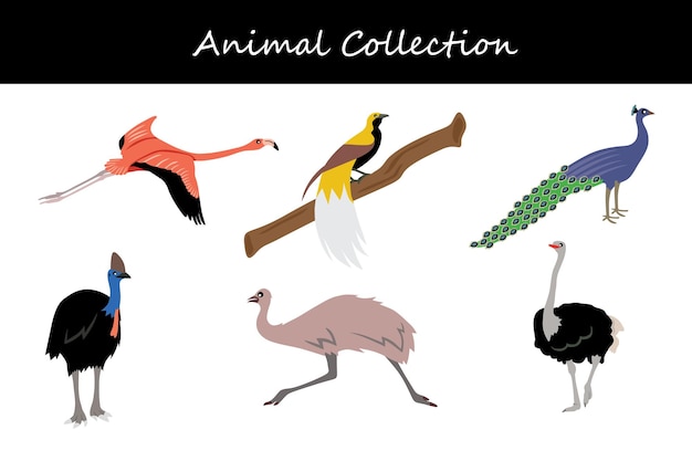 Colección de animales Ilustración vectorial de estilo plano