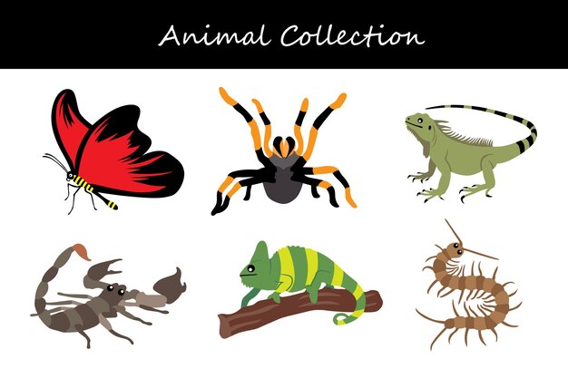 Colección de animales Ilustración vectorial de estilo plano