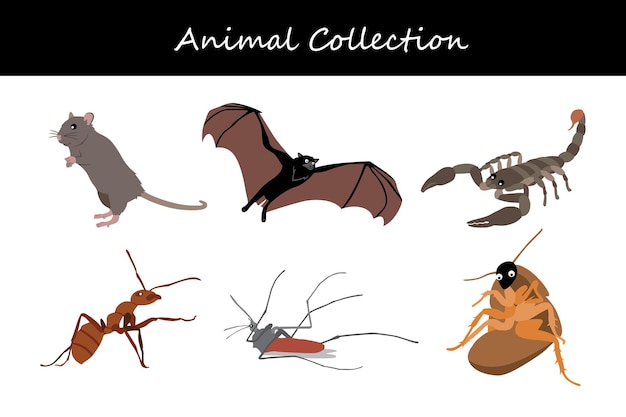 Colección de animales Ilustración vectorial de estilo plano