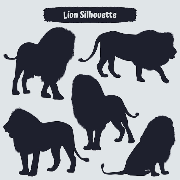 Colección de animales León en diferentes posiciones.