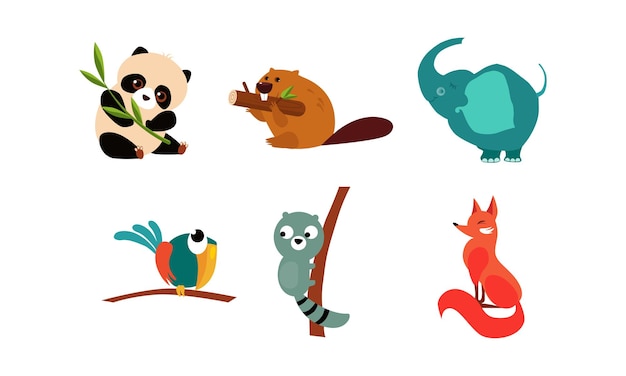 Colección de animales lindos oso panda castor loro mapache zorro vector ilustración aislada sobre fondo blanco