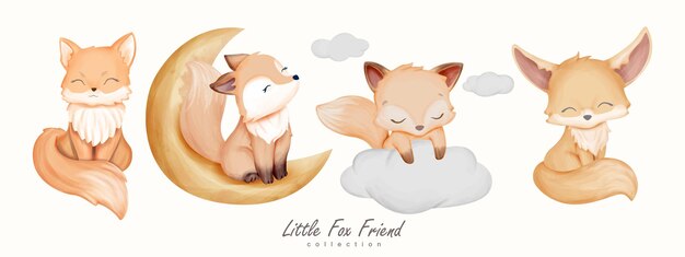 Colección de animales Little Fox Friend