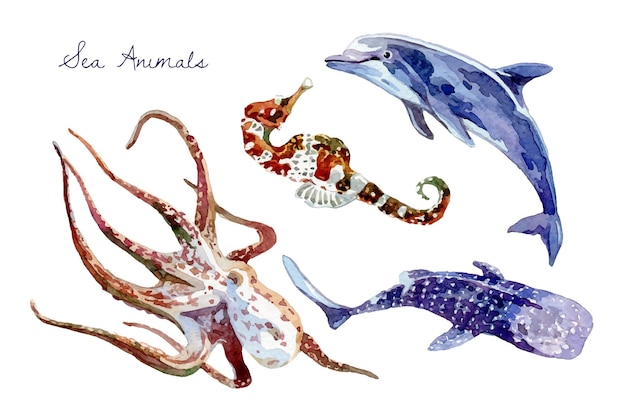 Colección de animales marinos en acuarela