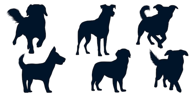 Vector colección de animales perro en diferentes posiciones