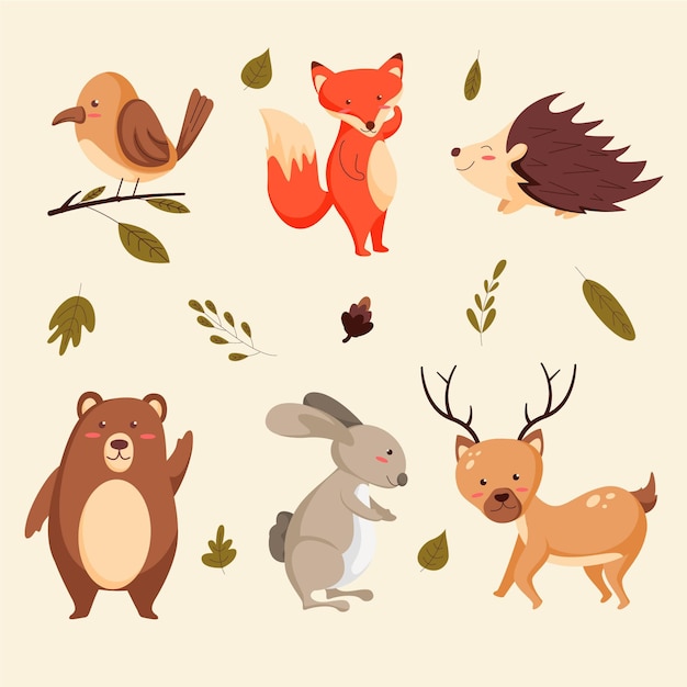 Colección animales planos otoño