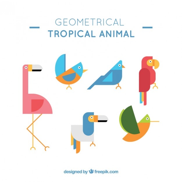 Colección de animales tropicales geométricos
